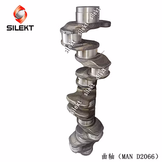 As peças de motor do homem D2066 D2676 do eixo de manivela transportam os motores Mc11 Mc13 Mc07 de aço forjado